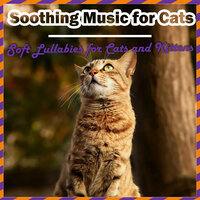 Calming and Soothing - RelaxMyCat & Cat Music Zone