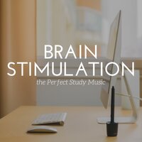 Brainwave Entrainment - Focus Brain