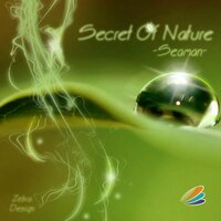 Winter Nature - Seaman
