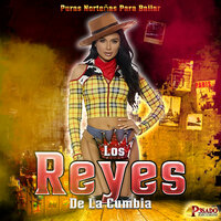 No Se Nos Ve - Los Reyes de la Cumbia