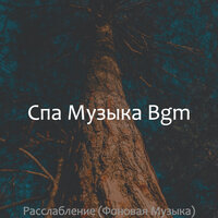 Атмосфера (Расслабление) - Спа Музыка Bgm