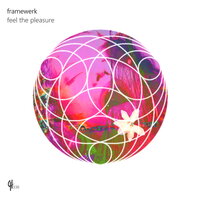 Feel The Pleasure - Framewerk