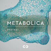 Metabolic Stress - Michael Bibo & Felix Mannherz & Click Clock