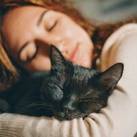 Vibraciones Suaves Nocturnas Para Gatos - Fuente binaural & Ondas Sonoras para Gatos & Estudio de Música para Gatitos