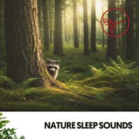 Sunset Meditation Melodies - Ruido Blanco Hart & Sleeping Music & Amazing Spa Music