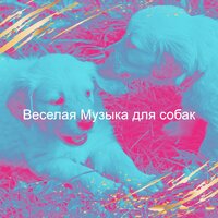Созерцая (Милые Собаки) - Веселая Музыка для собак
