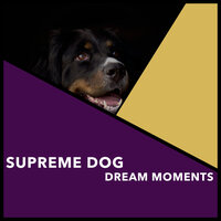Gratifying Pet Snooze - Puppy Music & Puppy Music Therapy