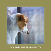 Calm Connections - Puppy Relaxation