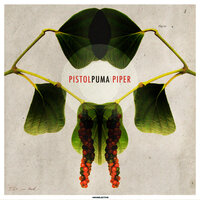 Piper - Pistolpuma