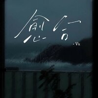 愈合 - VK