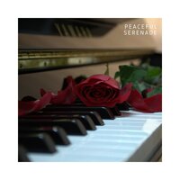Piano Lounge - Piano Music Masters