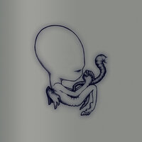 Starálfur - Sigur Rós