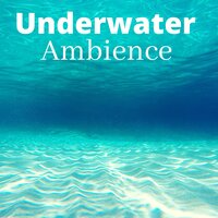 Rainy Afternoon - Calming Water Consort