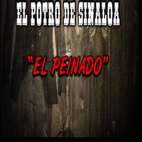Lagrimas de Sangre - El Potro De Sinaloa & Los Canelos de Durango
