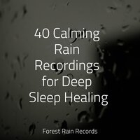 Trickling Rains into Drains - Rising Higher Meditation & White Noise Relaxation & Forest Soundscapes