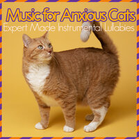 Ethereal Twilight Melody - Cat Music Zone & Cat Music Dreams