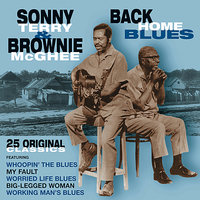 Sweet Woman - Sonny Terry & Brownie McGhee