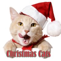Rudolph The Red Nosed Reindeer - Christmas Songs