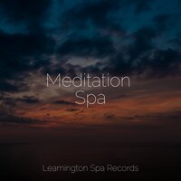 Raindrops - Amazing Spa Music & Rain Makers & Ambient Forest