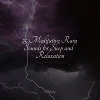 Falling Rains - Zen Music Garden & It's Raining & Ambient Music Therpy