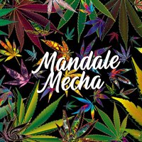 Malaria - Zeta Music & C.R.O & Franux BB