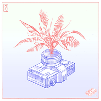 Cherry Blossom - goosetaf & Timothy Infinite