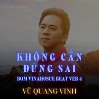 Không Cần Đúng Sai - Vu Quang Vinh