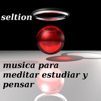 Luz - seltion