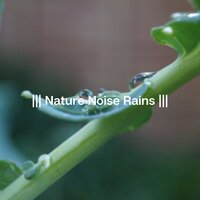 Sun and Clouds - Sleep & Rain