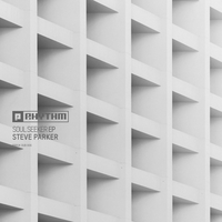 Paranoid Skyline - Steve Parker