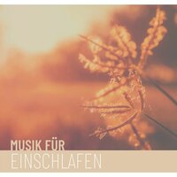 Musik für Einschlafen - Asiatische Musik
