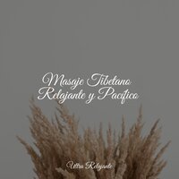 Sonidos De Primavera - Massagem Coleção de Músicas & Meditação Yoga Maestro & Musica Relajante Specialistas & Musica Relajante