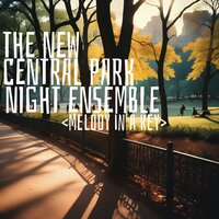 Late Night Reflection - The New Central Park Night Ensemble