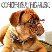 Symphony No- 1 in C Major, Op- 21 III- Menuetto- Allegro molto e vivace - Studying Piano Music