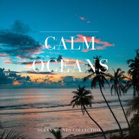 Waves Crashing - Ocean Sounds Collection