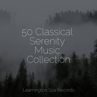 Lovely Whispers - Soothing Music Academy & Rain & Namaste Yoga