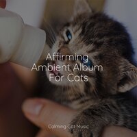 At Ease - Music for Relaxing Cats & Cats Music Zone & Music for Cats Deluxe