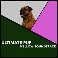Quiet Embrace - Puppy Music & Puppy Music Therapy