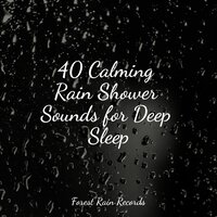 Small Ocean Waves Lapping - Yoga Trainer & Thunderstorms & Organic Nature Sounds