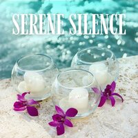 Massage Therapy Music - Spa Music Collection