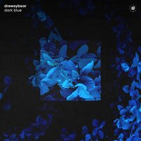 Dark Blue - Dreweybear