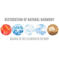 Birds in the Sky - Space Element I - Harmony Nature Sounds Academy