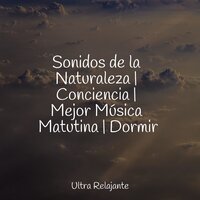 Ejercicios De Respiración - Musica Relajante Specialistas & Musica Relajante & Relajarse & Lluvia