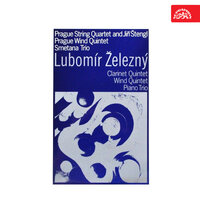Clarinet Quintet: I. Allegro vivo - Prague String Quartet & Jiří Štengl