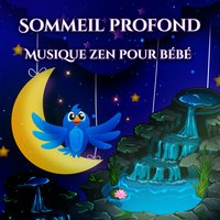 Surmonter l'insomnie - Sleeping Music Zone