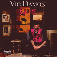 Testimony - Vic Damon