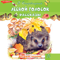 Скребицкий Георгий Алексеевич. «Лесной голосок. Рассказы». Часть 16 - Константин Корольков
