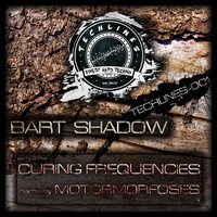 Lost In The Mist - Bart Shadow & Condor