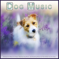 Music to Help My Dog Sleep - Music for Dogs & Dog Music Therapy & Dog Music