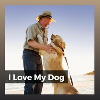Canine Lullabies, Pt. 5 - Sleeping Music For Dogs